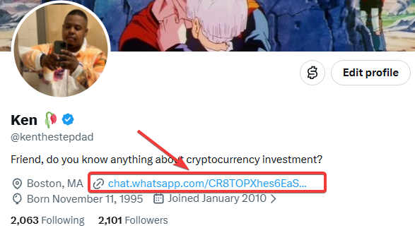 A Twitter/X profile screenshot for 'Ken' (@kenthestepdad), a Boston-based user born November 11, 1995, whose bio asks about cryptocurrency investment with a suspicious WhatsApp link highlighted by a red arrow and box.