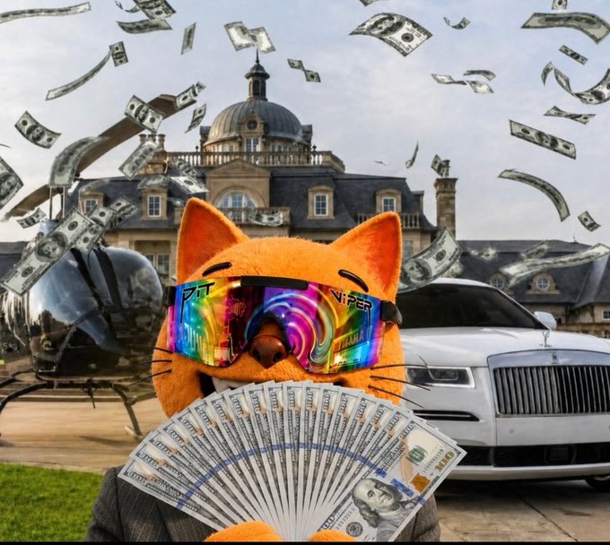 !!!THE CAT IS IN LOVE WITH THE WEALTH OF AMERICA!!!!!!