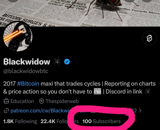 A screenshot of the "Blackwidow" (@blackwidowbtc) Twitter/X profile shows only 100 subscribers, which the user highlights in pink to emphasize their disappointment at gaining subscribers on a different platform while the X subscriber count remains stagnant despite their consistent, accurate reporting.