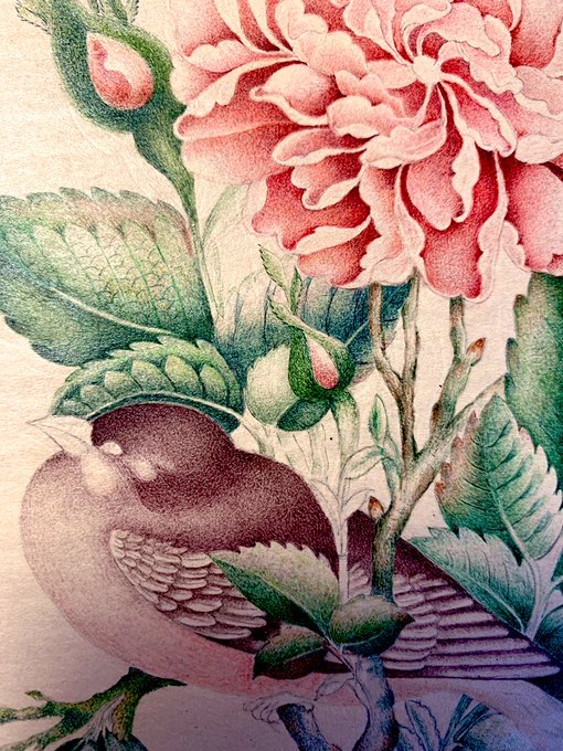 An artistic illustration of a dark bird perched on a branch near pink flowers and green leaves, rendered in a detailed, textured style.