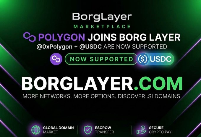 A promotional graphic for 'BorgLayer MARKETPLACE' announcing that 'POLYGON JOINS BORG LAYER' with @0xPolygon and @USDC now supported, featuring the website 'BORGLAYER.COM' and service icons for Global Domain Market, Escrow Transfer, and Secure Crypto Pay.