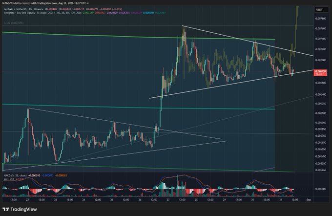 A TradingView chart displays the VeChain/TetherUS (VET/USDT) cryptocurrency pair on Binance, featuring candlestick price action with trend lines and an MACD indicator at the bottom.