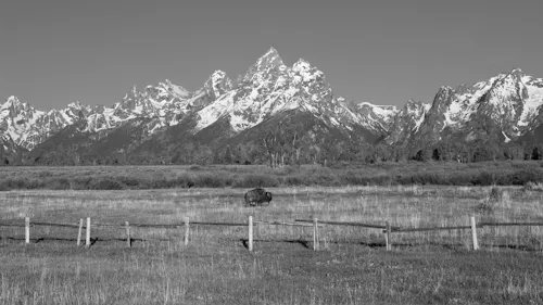 A black and white landscape photograph showing a snow-capped mountain range, likely the Teton Range, with a meadow, wooden fence, and a vehicle in the foreground.