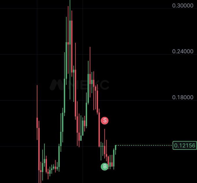A candlestick chart showing the cryptocurrency EXC (as labeled by the watermark) trading around $0.12156, with a recent "Sell" signal (S) followed by a "Buy" signal (B) at the lows after a sharp decline from a peak near $0.30000.