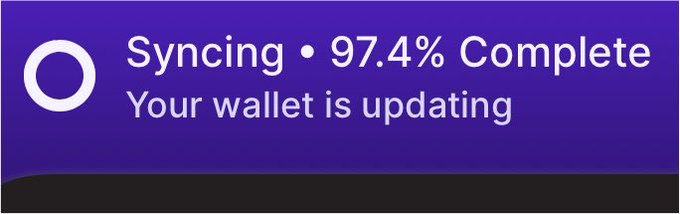 Purple progress notification banner reading 'Syncing • 97.4% Complete' with subtitle 'Your wallet is updating' alongside a circular logo.