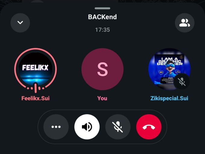 A mobile phone screenshot of an active group call titled 'BACkend' at 17:35, showing three participants including 'Feelikx.Sui' and 'Zikispecial.Sui' with standard call control buttons at the bottom.