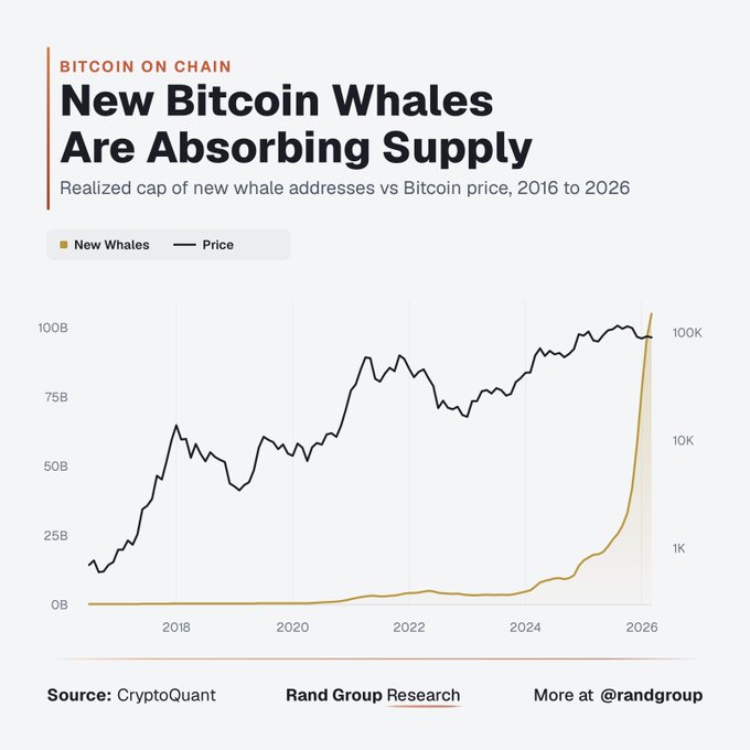 A financial chart titled 'New Bitcoin Whales Are Absorbing Supply' showing realized cap of new whale addresses vs Bitcoin price from 2016 to 2026, sourced from CryptoQuant and Rand Group Research.