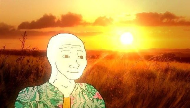 A Wojak-style figure with a calm, content expression stands in a sunset-lit field, visually echoing the post's hopeful message that the altcoin bear market has ended and it's time to believe in crypto again.