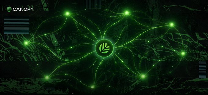 The image features a large green circle with a white leaf inside of it. The circle has eight lines radiating outwards from its center, creating an intricate pattern that resembles a tree or forest. The background of the image is black, providing a stark contrast to the vibrant green of the circle and leaves. In the bottom right corner of the image, there's text that reads "CNPY token CNPY is native token Usage=> Transaction fees, staked by validators to secure Nested Chains Minting=> No initial supply New CNPY is minted with each block (every 20 sec) Starting block reward is 80 CNPY, halved every 2 years (3.15M blocks) Total". This text seems to be related to the image of the circle and lines, possibly providing information about the token or its usage in the context of the image.