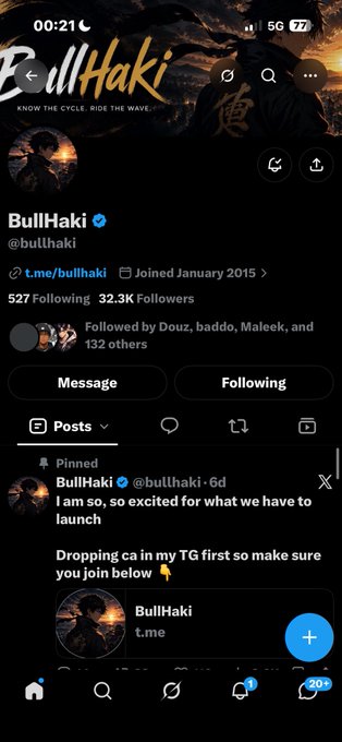 A Twitter/X profile page for 'BullHaki' (@bullhaki) with 32.3K followers, featuring a pinned post about an exciting launch and a Telegram link.
