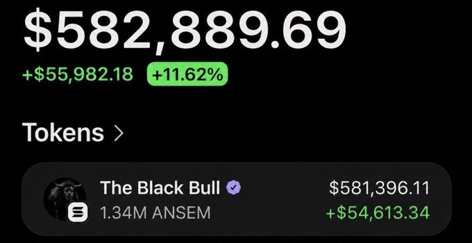 The image shows a crypto portfolio displaying $582,889.69 in total value with an 11.62% gain, primarily from holding 1.34M $ANSEM tokens in "The Black Bull" account worth $581,396.11. The image relates to the post by showcasing substantial crypto trading profits, which the poster is using to fund a giveaway of 10 SOL to 10 winners as a way to "take people out of the trenches."