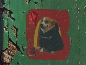 A small dog wearing a dark hoodie sits inside a red-painted rectangular frame on a weathered green metal door.