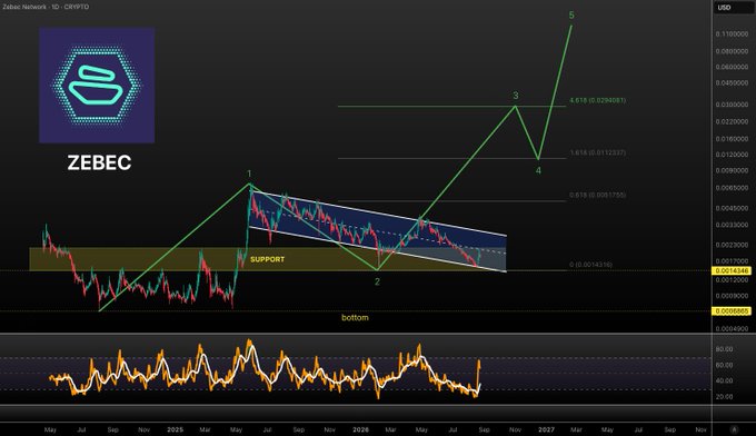 The image is a technical analysis chart of Zebec Network (ZBCN) on a daily timeframe, showing price action within a descending channel near a support zone (~$0.0014), with an Elliott Wave-style projection marking points 1–5, including a "bottom" at point 2 and a target of 4.618 (~0.0294081) on the upside, along with Fibonacci levels at 0.618 (0.0091754) and 0 (0.0074316), and oversold RSI near 20—visually supporting the post's claim of a potential local double bottom and an upside target around $0.029.