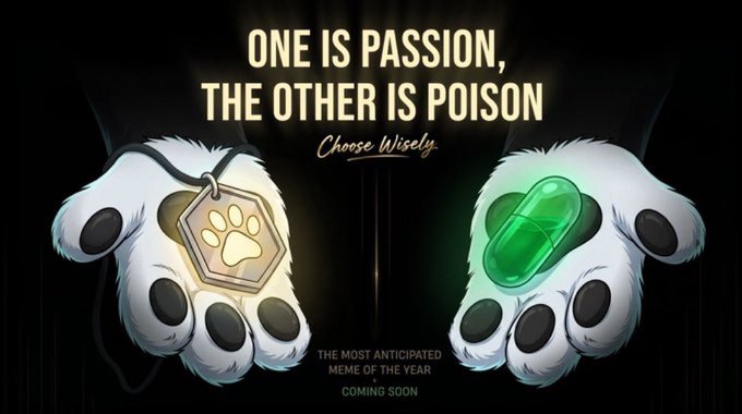 The image features two paws holding a green pill and a gold keychain with a dog charm. The text "One is passion, the other is poison" is displayed above the paws, while the phrase "Choose wisely" is written below them. The caption reads "YOO YOO I tweeted about the Koma team's new project a week ago, and the team that gave the signal has now revealed the project name".
