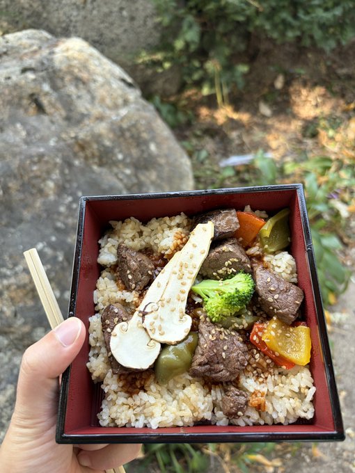 A hand holds a Japanese bento box containing rice topped with beef, broccoli, bell peppers, and a decorative mushroom-shaped piece carved from radish, with chopsticks resting on the box.