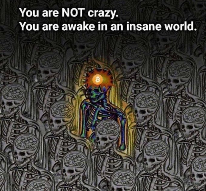 A dark, surreal illustration shows a skeletal figure with a Bitcoin logo for a head surrounded by skulls, with the text 'You are NOT crazy. You are awake in an insane world.'