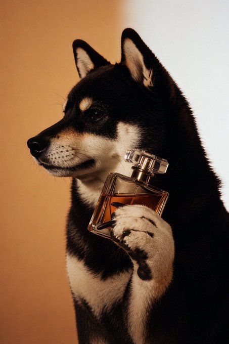 A Shiba Inu dog posing elegantly while holding a perfume bottle, personifying the sophisticated brand identity of $MANYU. The image visually represents the diverse, high-value ecosystem being built by the core team, such as NFTs and AI.