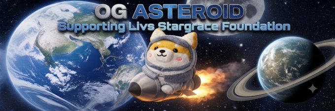The image features a cartoon cat wearing a spacesuit and riding a rocket ship, with the text "OG Asteroid" written above it. The cat appears to be floating in space, surrounded by planets and stars. Below the cat, there is a banner that reads "OG Asteroid supporting Livs Stargrace Foundation". This suggests that the image might be related to an event or campaign promoting the Livs Stargrace Foundation's cause.