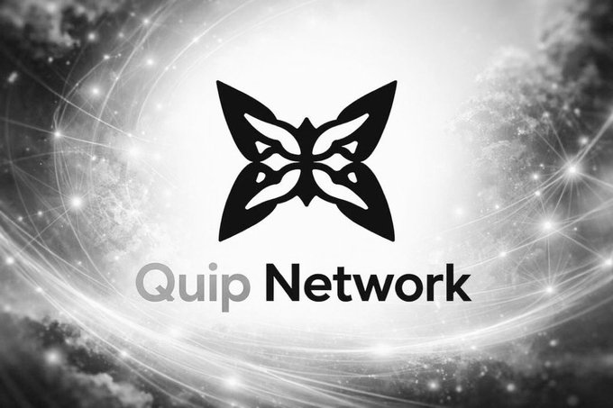 A grayscale logo design featuring a symmetrical butterfly-like emblem with the text 'Quip Network' displayed against a cosmic, starry background.