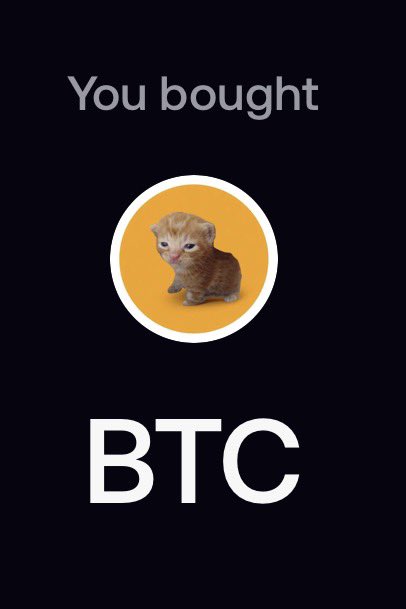 A graphic displays the text 'You bought BTC' with a sad orange kitten sitting in a yellow circle in the middle.