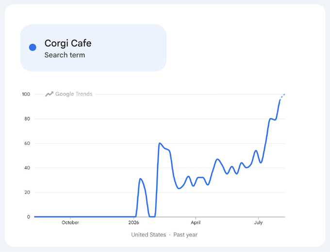 Google Trends chart for "Corgi Cafe" search term in the United States over the past year, showing a sharp rise to 100 by July.