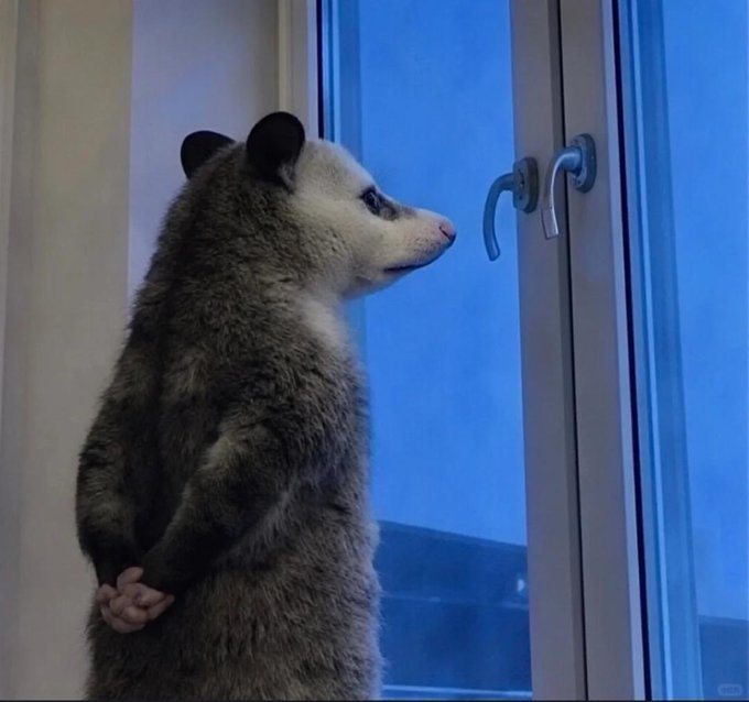 The image features a gray and white bear standing by an open window with its hands behind its back. The bear appears to be looking out of the window or observing something outside. The caption above the photo reads, "Standing with hands behind like a possum, that'S stability; steering Binance, that'S trust; from obscurity to global, from storm to new journey." This phrase is likely an inside joke among the community members who have been following the bear's progress through the post. The bear represents stability and trust in times of uncertainty or change, as it has navigated through various challenges while maintaining its composure.