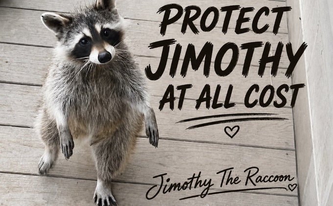 A photograph of a raccoon sitting on wooden floorboards, overlaid with stylized black text reading 'PROTECT JIMOTHY AT ALL COST' and 'Jimothy The Raccoon' signed with hearts.