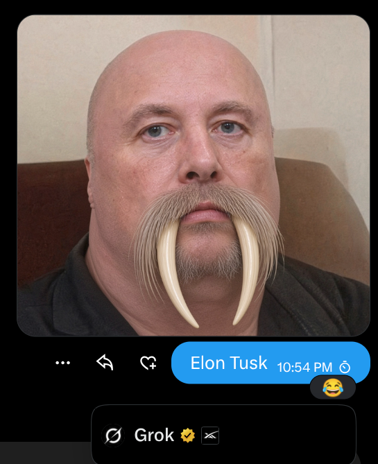 A text message conversation screenshot showing a photo of a man with an exaggerated walrus mustache and tusk-like teeth, with a reply labeled 'Elon Tusk 10:54 PM' containing a laughing emoji.
