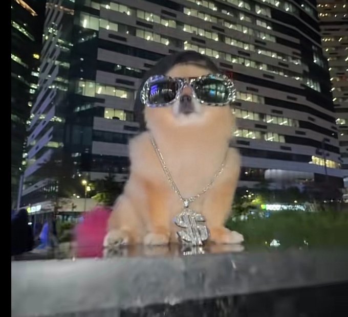 A small fluffy dog wearing oversized shiny sunglasses and a large dollar-sign pendant sits on a ledge at night, with illuminated office buildings behind it. The flashy “money dog” image visually matches the post about receiving 1 SOL to share with followers.