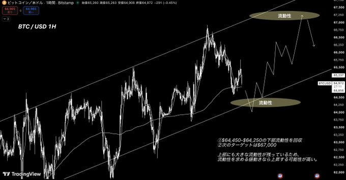 A Bitcoin/USD 1-hour chart on TradingView (Bitstamp) showing BTC at $64,903, with Japanese annotations highlighting liquidity zones (流動性) at $67,000 and $64,250-$64,450.