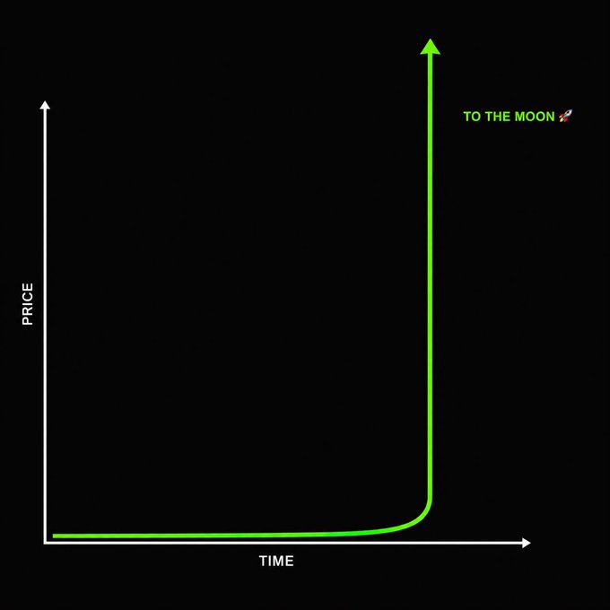 A line graph on a black background shows price remaining flat over time before shooting vertically upward, labeled "TO THE MOON 🚀" alongside text reading "PRICE" and "TIME." The image humorously illustrates the post's request for a memecoin with potential 1000x returns, depicting the exponential price spike characteristic of hyped memecoin pumps.