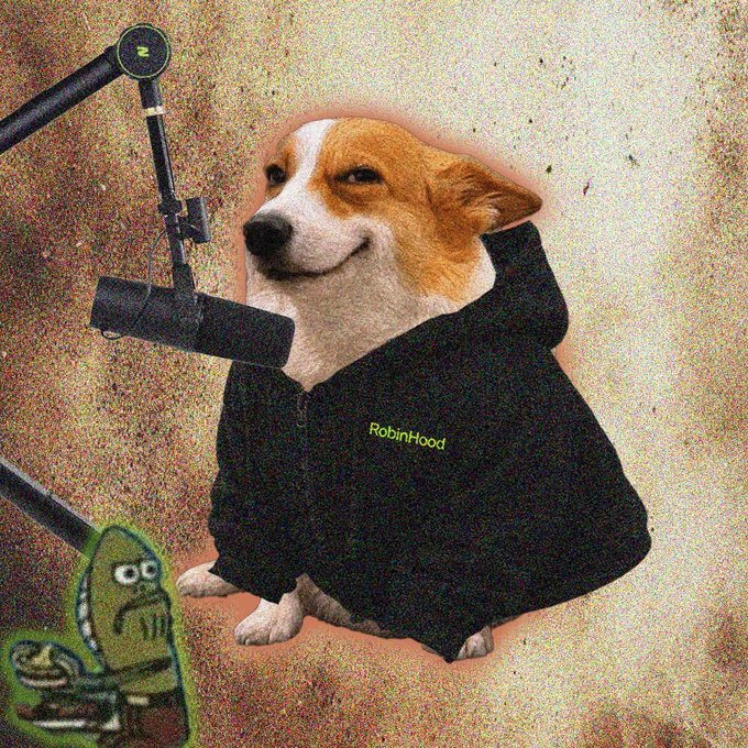A corgi wearing a black "RobinHood" hoodie sits in front of a microphone next to a pickle character, fittingly representing the "Cashdogs" podcast with a Robin Hood-themed meme twist.