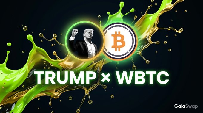The image is a promotional graphic for GalaSwap featuring a green and gold liquid splash design with two circular icons: one depicting Donald Trump with a raised fist, and the other showing the Bitcoin "₿" logo, connected to form a trading pair. Bold text reads "TRUMP × WBTC," highlighting the GTRUMP/GWBTC liquidity pool spotlight mentioned in the post, with GalaSwap branding in the corner.