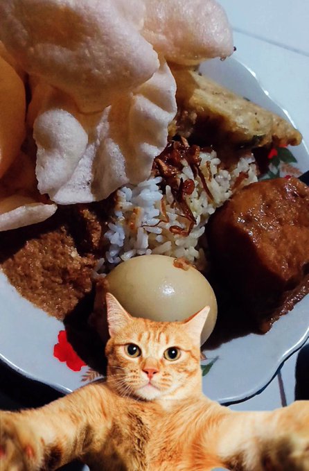 An orange tabby cat stretches its paws across the frame in front of a plate piled high with Indonesian rice dishes—including white rice, fried tofu, a boiled egg, krupuk (crackers), and what appears to be tempeh or rendang—perfectly illustrating the post's "nyarap" (eating) message with a hungry feline photobomb.