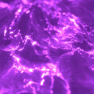 The image features a close-up view of a purple surface with a rough texture, possibly resembling a rock or stone wall. The background appears to be black, which contrasts with the purple color of the surface. There are no texts or other objects in the image, and it does not contain any discernible actions or movements.