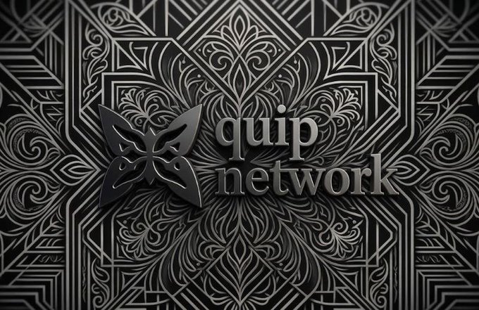 A sleek black-and-silver graphic featuring the Quip Network logo, where the "Q" is stylized as a butterfly adorned with a masquerade mask, set against an intricate damask-patterned background. The accompanying text highlights Quip Network's appeal to users frustrated with clunky Web3 tools, praising its developer-focused on-chain infrastructure.
