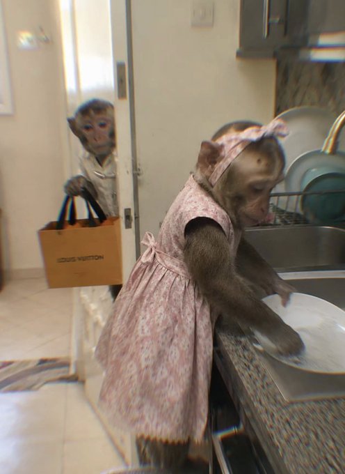 Two monkeys wearing human clothes in a kitchen; one in a pink floral dress stands at the sink washing dishes while another in white holds a Louis Vuitton shopping bag.