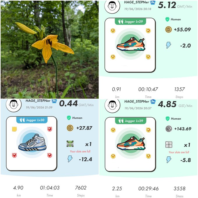 ids of four images, one with a yellow flower, two with jogging shoes, and one with a step count log.