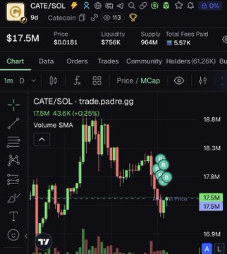 The image shows a trading chart for $CATE/SOL on the CATE/SOL pair from trade.padre.gg, currently priced at $17.5M with a slight 0.25% gain. The chart displays the token's price action around the $17.5M level with high trading volume of 18.8M, suggesting the poster is showing current market conditions to support their bullish conviction that $CATE will return to its all-time highs despite a recent pullback.