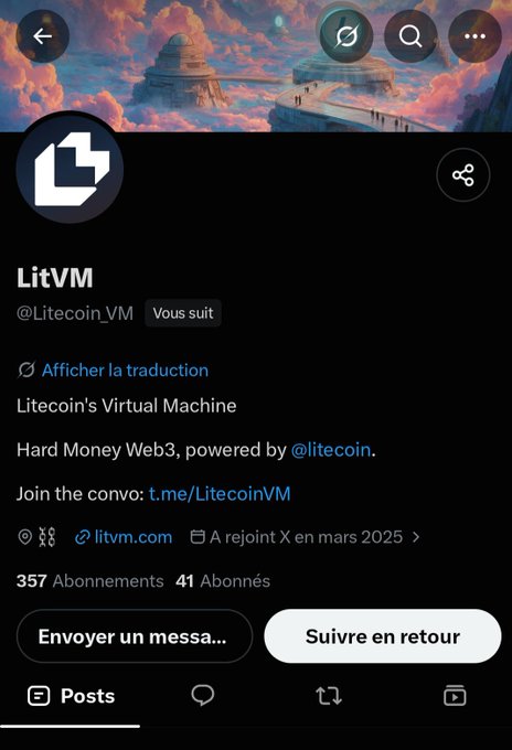 A Twitter/X profile page for 'LitVM' (@Litecoin_VM) with description 'Litecoin's Virtual Machine - Hard Money Web3, powered by @litecoin' with 357 subscribers and 41 following, featuring a cosmic/futuristic landscape banner image.