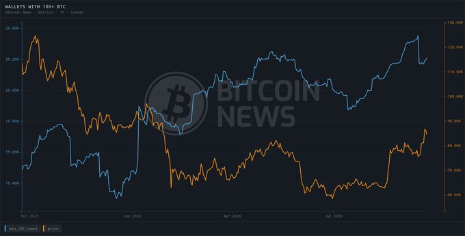 The chart titled "WALLETS WITH 100+ BTC" shows the inverse correlation between Bitcoin price (orange) and the number of wallets holding 100+ BTC (blue) from October 2020 to late 2022, illustrating how mid-tier whale accumulation accelerated when prices dipped below $20K in mid-2022. This visual supports the data showing roughly 18,205 wallets added 113,950 BTC since July 15, demonstrating accumulation behavior despite the price slump visible on the chart.