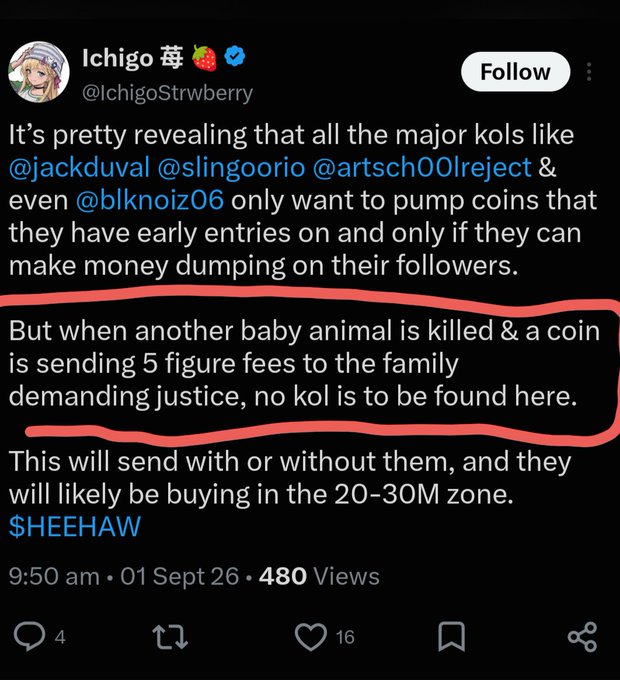 A tweet by @IchigoStrwberry criticizes KOLs @jackduval, @slingoorio, @artsch00lreject, and @blknoiz06 for promoting coins only when profitable but staying silent on a situation where a "baby animal is killed & a coin is sending 5 figure fees to the family demanding justice," while noting that $HEEHAW will pump to 20-30M regardless. The accompanying caption highlights the irony of Solana users staying entrenched in the ecosystem to shill memecoins while major financial opportunities unfold elsewhere.