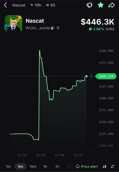 A screenshot of the Nascat cryptocurrency token shows a dramatic price spike from approximately $325K to nearly $500K within seconds on a 5-minute chart, with the current price at $446.32K (+2.6% in 24h). This visually illustrates the post's claim of a suspicious 60% pump in just one second, seemingly confirming potential scam activity with contract address WUbc4PcHxraU3NJqyygjM2YaTpSDaXirV3U8TtZpump.