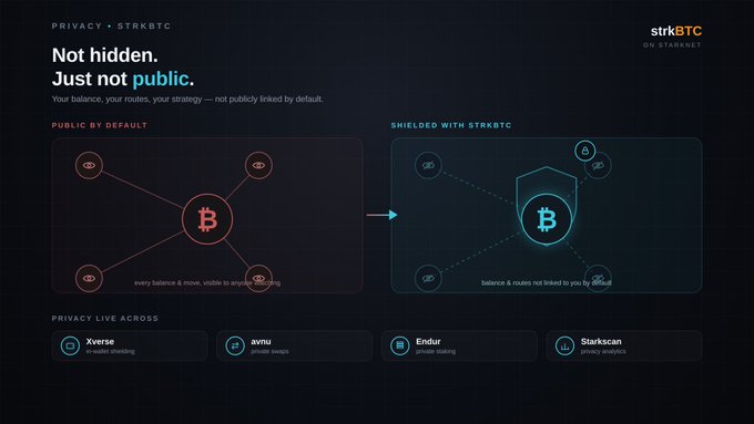 A dark-themed promotional graphic for strkBTC on STRK by OPL SYNERGY, highlighting 'PRIVACY' features with the tagline 'Not hidden. Just not public,' showing how balances and routes are public by default but shielded with strkBTC.