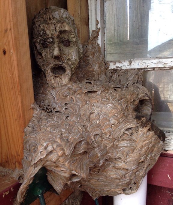 A massive, decayed paper wasp nest with a face-like formation resembling a screaming expression is attached to the corner of a wooden structure next to a window. The grotesque, screaming visage of the nest humorously visualizes the horror a 26-year-old crypto trader might feel after watching the market crash.