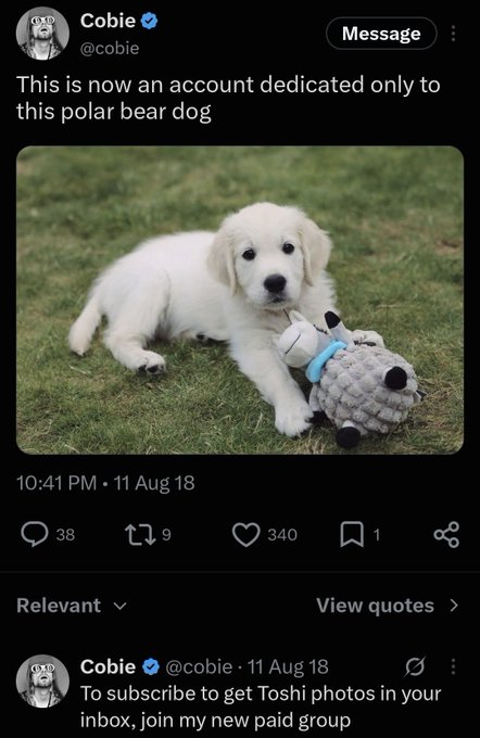 A tweet from verified user Cobie (@cobie) announcing that the account is now dedicated to a 'polar bear dog,' featuring a photo of a white puppy named Toshi lying on grass with a stuffed toy.