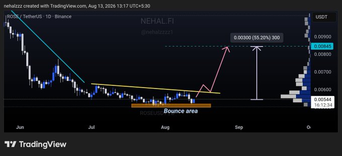 A TradingView chart from nehalzzz dated August 13, 2026 displays ROSE/USDT (TetherUS) on the 1D timeframe from Binance, showing price consolidation between June and October with a marked "Bounce area" around $0.00544 and a projected breakout target of 0.00300 (55.20%) toward $0.00845, visually supporting the post's claim of a potential 55% upside from the current bounce zone.