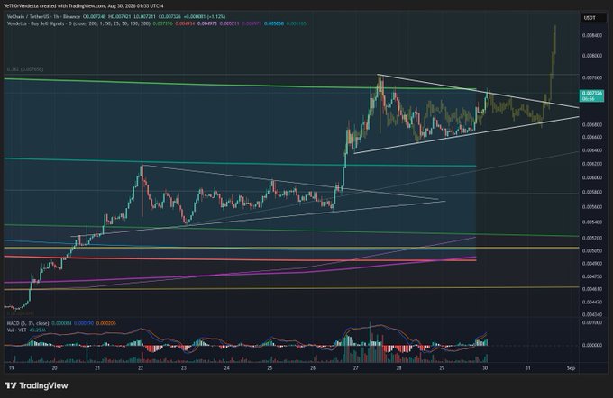 A TradingView cryptocurrency chart showing VeChain (VET/Binance) price action with technical analysis indicators including MACD and various trend lines.