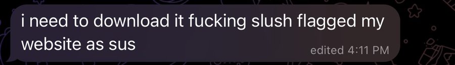 A screenshot of a text message reading 'i need to download it fucking slush flagged my website as sus', edited at 4:11 PM.
