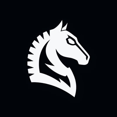 The image features a white horse head logo against a black background. The logo consists of a stylized representation of a horse's head, with its eyes open as if looking at something or someone. The horse's face is outlined in white, while the rest of the body remains in black. The logo appears to be a part of a larger design or branding project, possibly related to trading platforms or financial services.